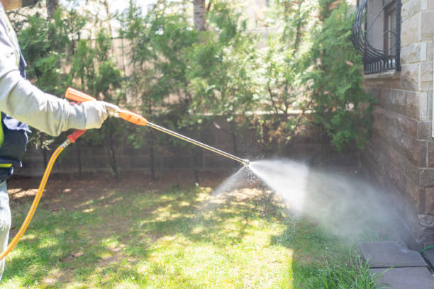 Best Pest Prevention Services  in Harrison, NY